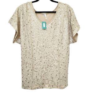 NWT!  Sequin Cream Top